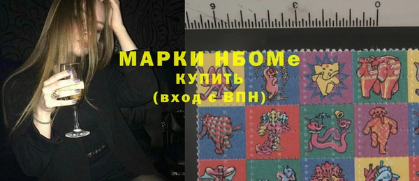 трава Аркадак