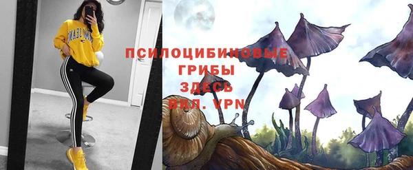 прущая мука Армянск